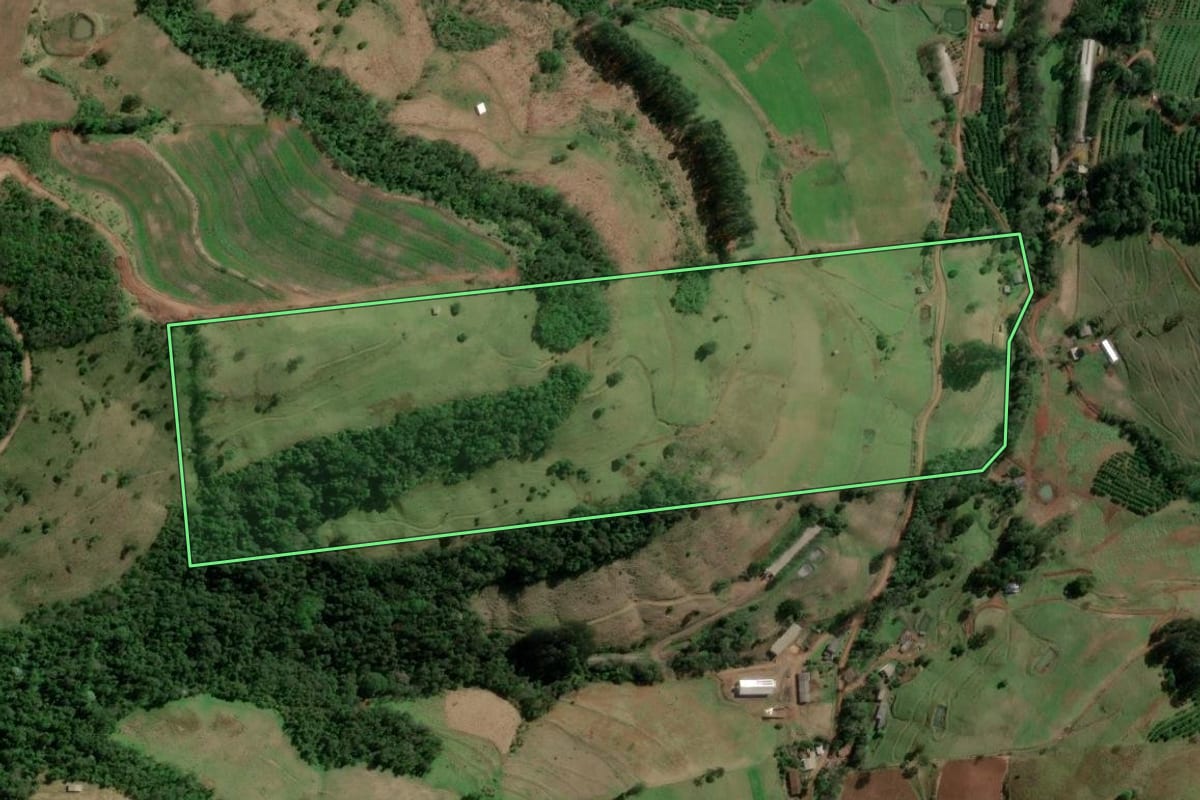 Imagem de satélite do imóvel rural em Barra do Rio Azul (RS), com o contorno declarado no CAR desenhado por cima.