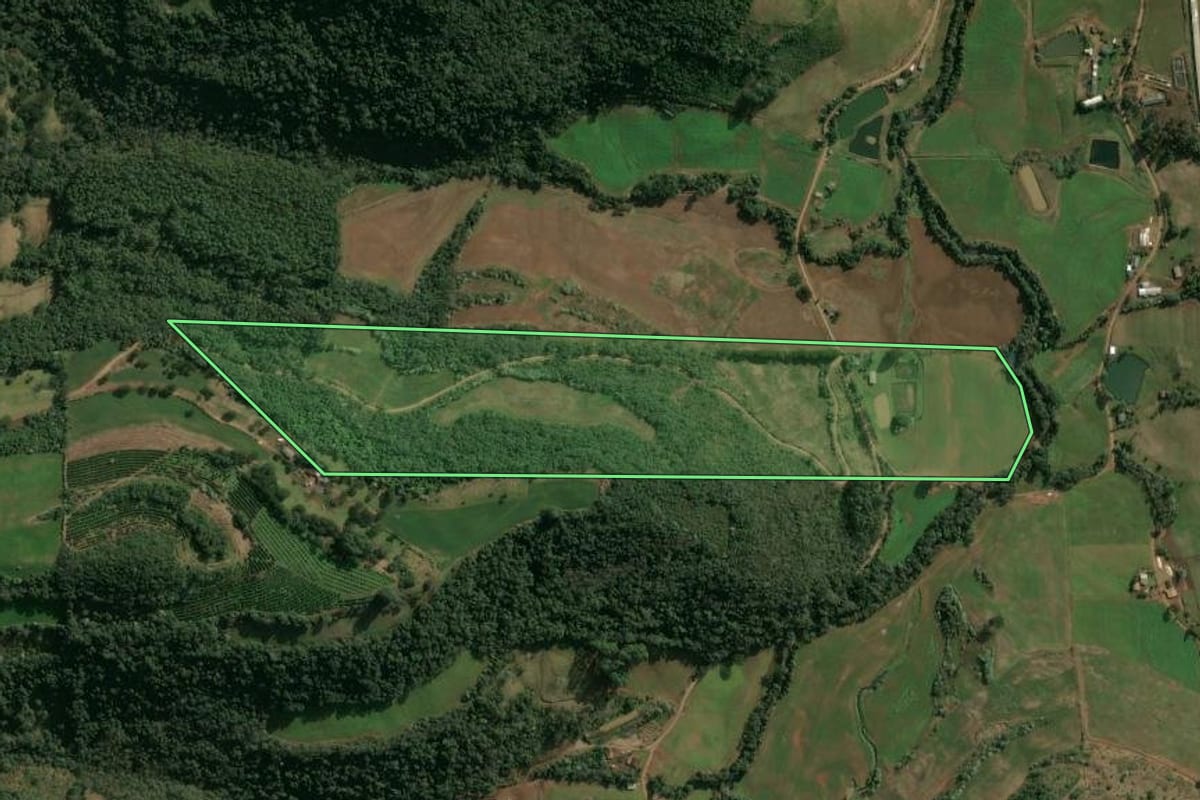 Imagem de satélite do imóvel rural em Barra do Rio Azul (RS), com o contorno declarado no CAR desenhado por cima.