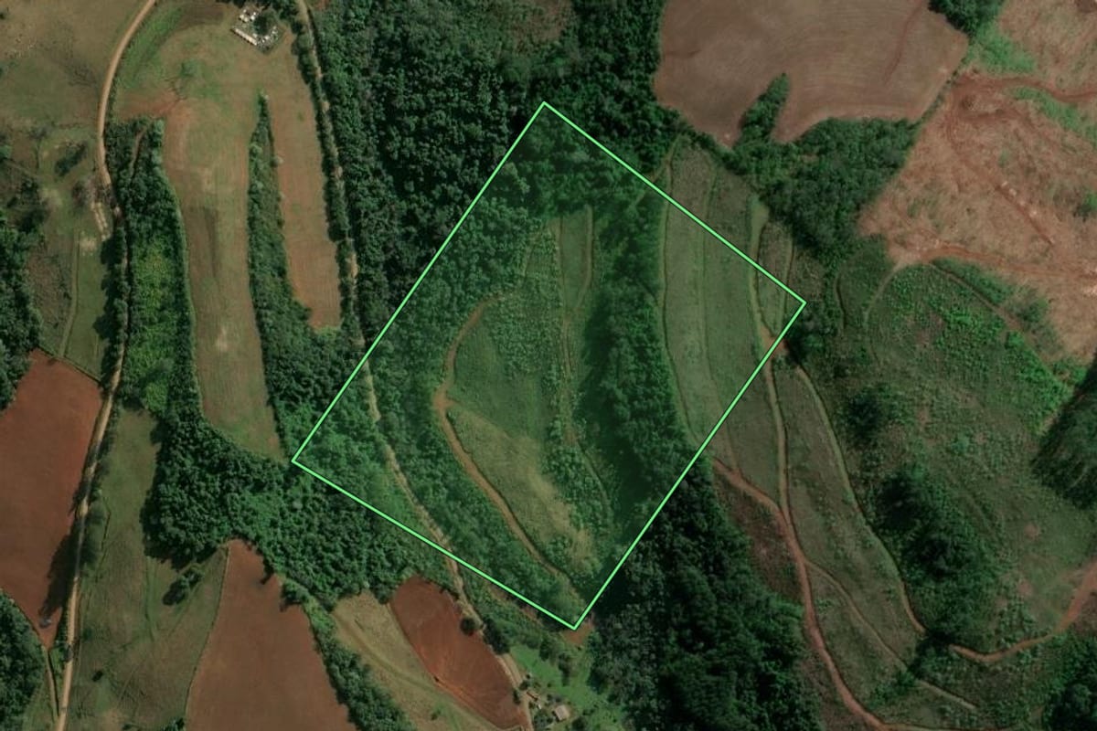Imagem de satélite do imóvel rural em Barra do Rio Azul (RS), com o contorno declarado no CAR desenhado por cima.