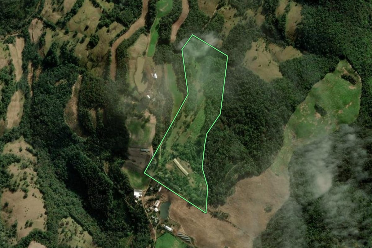 Imagem de satélite do imóvel rural em Barra do Rio Azul (RS), com o contorno declarado no CAR desenhado por cima.