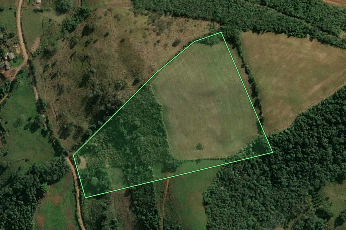 Imagem de satélite do imóvel rural em Barra do Rio Azul (RS), com o contorno declarado no CAR desenhado por cima.