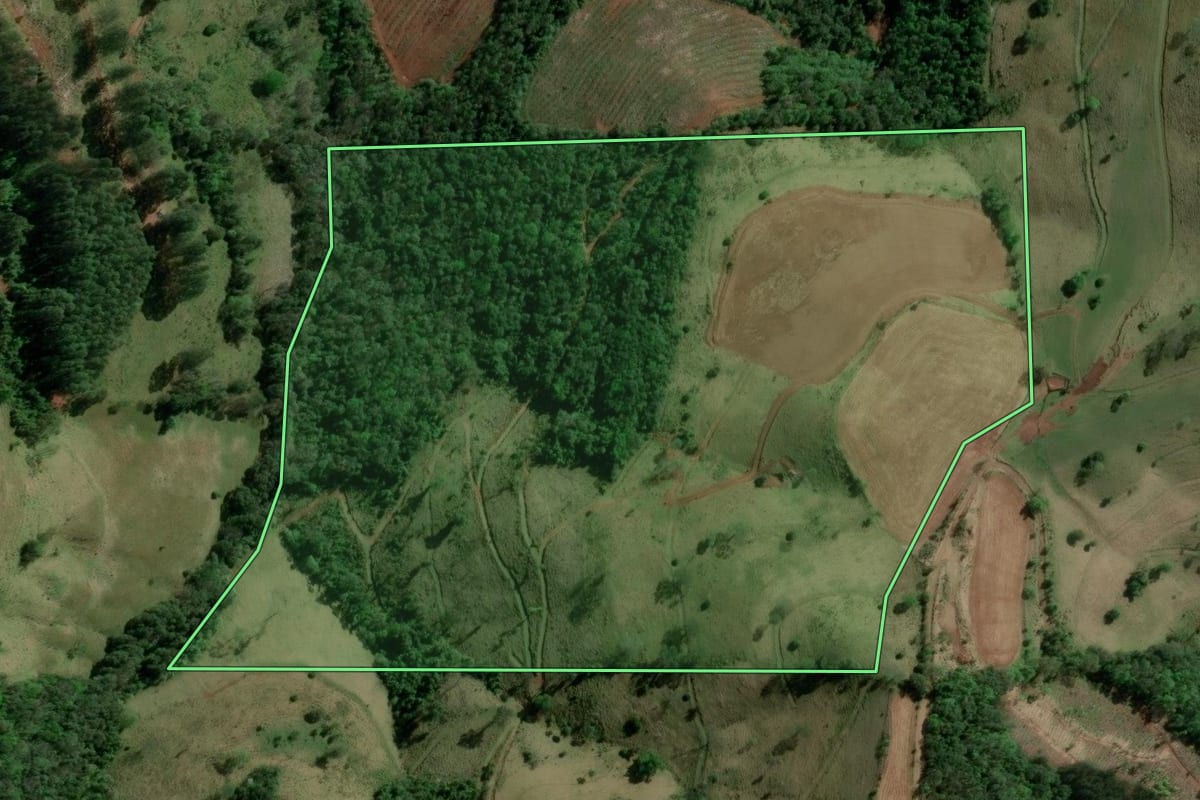 Imagem de satélite do imóvel rural em Barra do Rio Azul (RS), com o contorno declarado no CAR desenhado por cima.