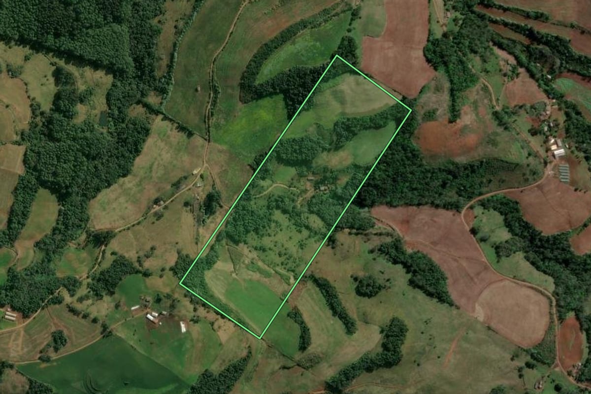 Imagem de satélite do imóvel rural em Barra do Rio Azul (RS), com o contorno declarado no CAR desenhado por cima.
