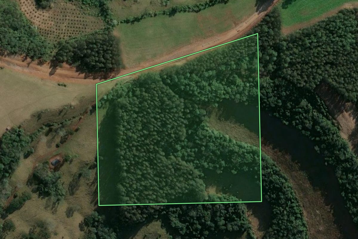 Imagem de satélite do imóvel rural em Barra do Rio Azul (RS), com o contorno declarado no CAR desenhado por cima.