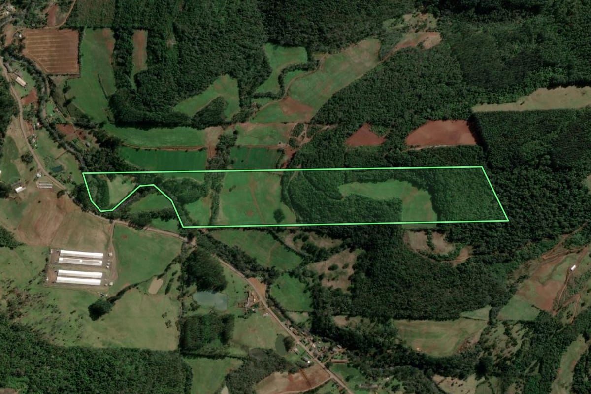 Imagem de satélite do imóvel rural em Barra do Rio Azul (RS), com o contorno declarado no CAR desenhado por cima.