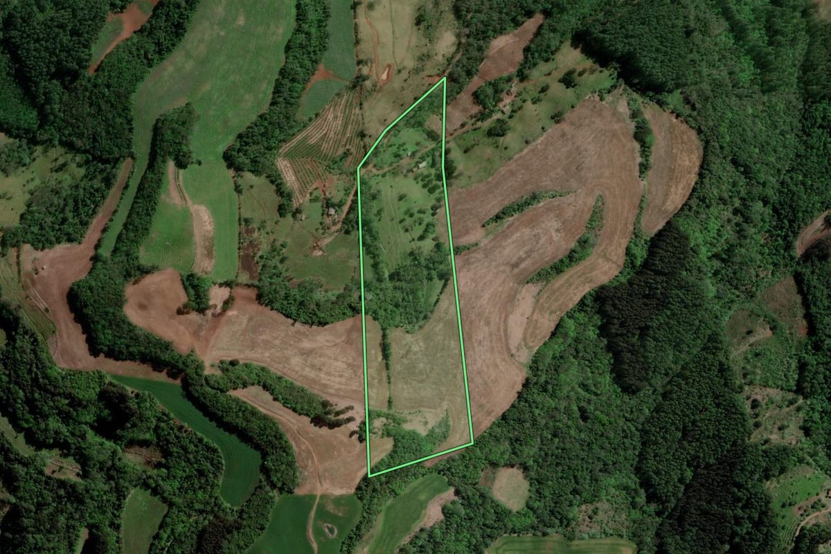 Imagem de satélite do imóvel rural em Barra do Rio Azul (RS), com o contorno declarado no CAR desenhado por cima.
