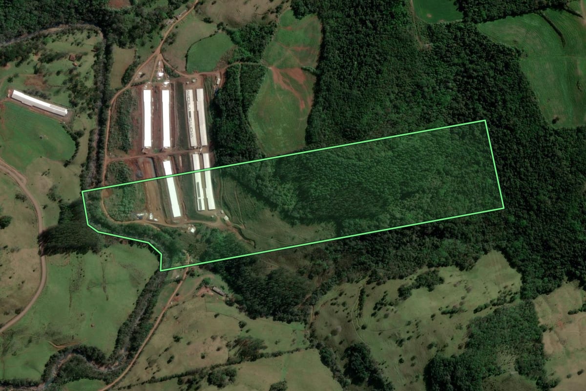 Imagem de satélite do imóvel rural em Barra do Rio Azul (RS), com o contorno declarado no CAR desenhado por cima.