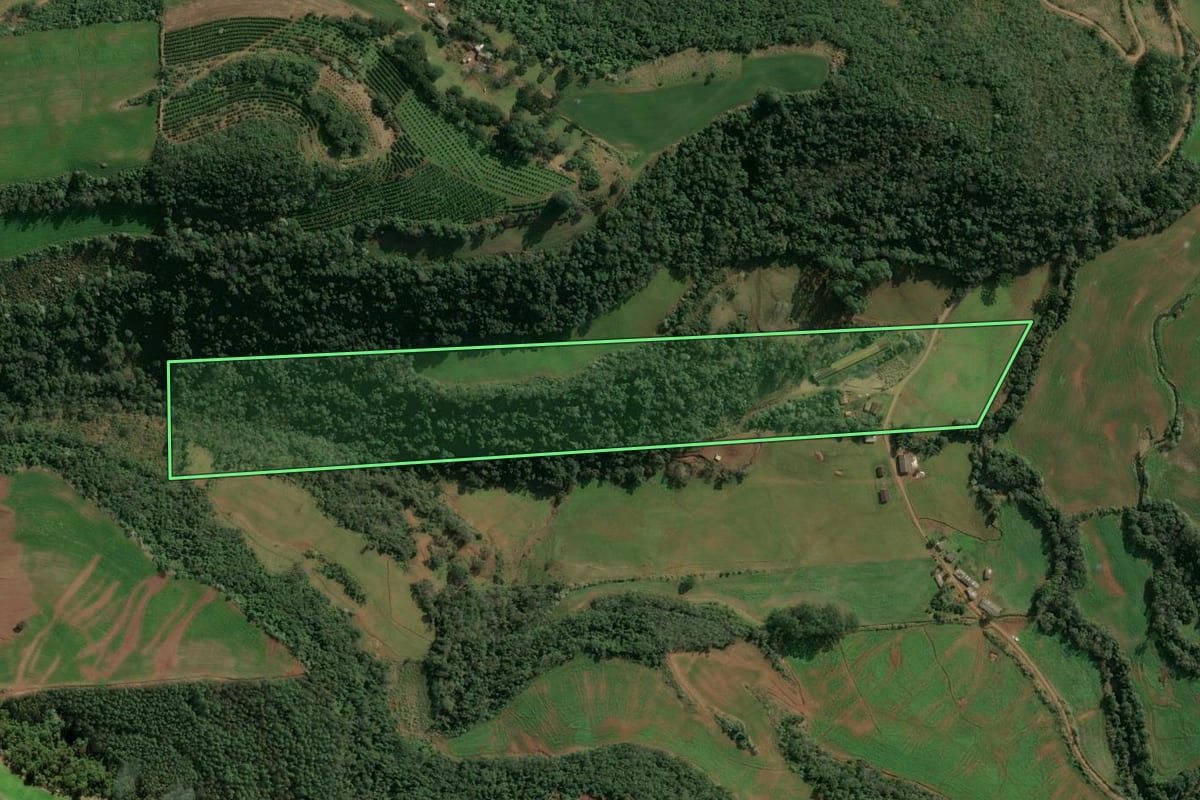 Imagem de satélite do imóvel rural em Barra do Rio Azul (RS), com o contorno declarado no CAR desenhado por cima.