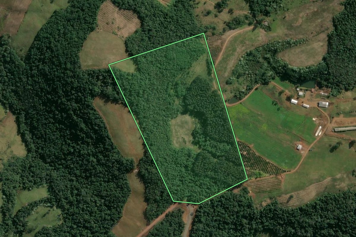 Imagem de satélite do imóvel rural em Barra do Rio Azul (RS), com o contorno declarado no CAR desenhado por cima.