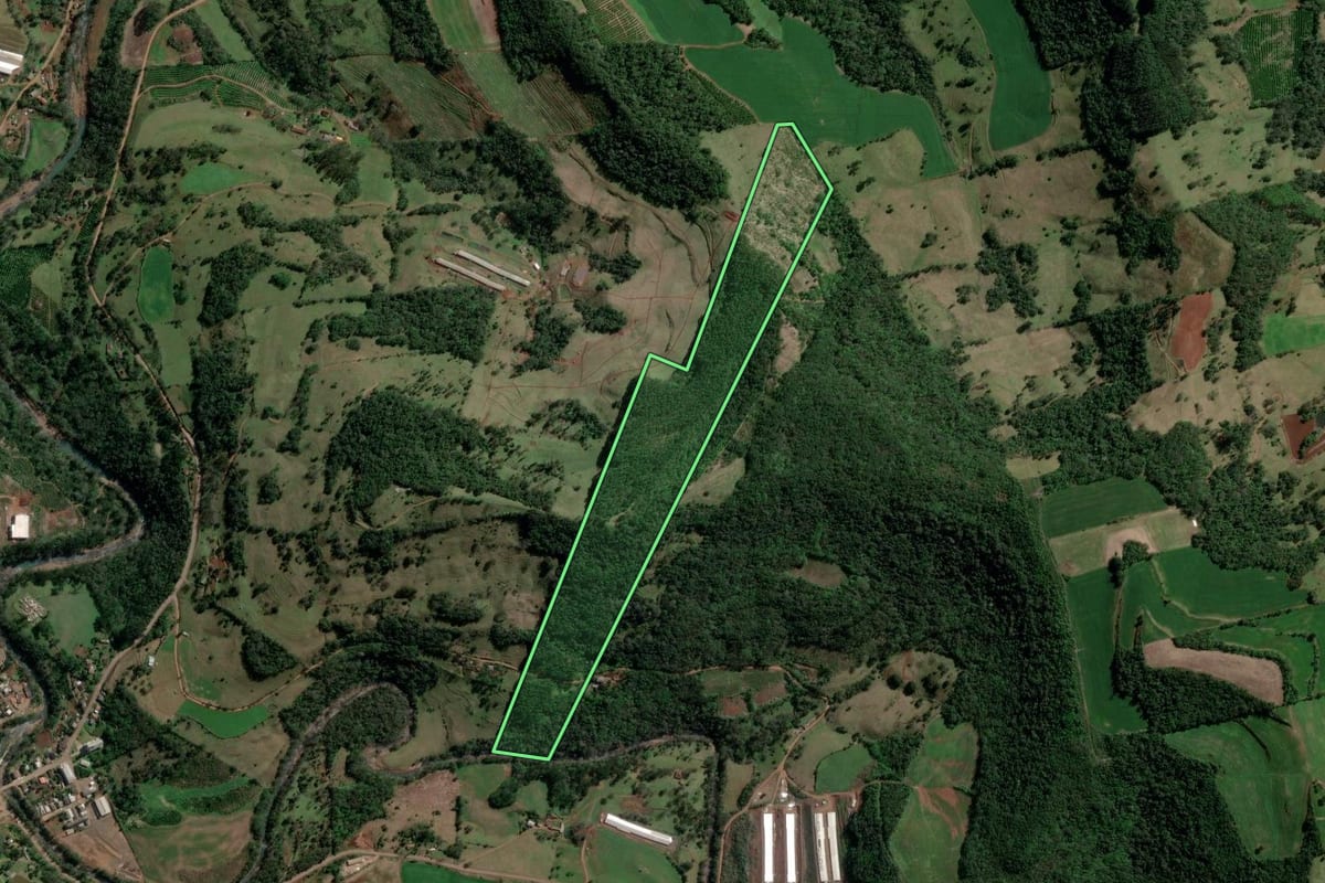 Imagem de satélite do imóvel rural em Barra do Rio Azul (RS), com o contorno declarado no CAR desenhado por cima.