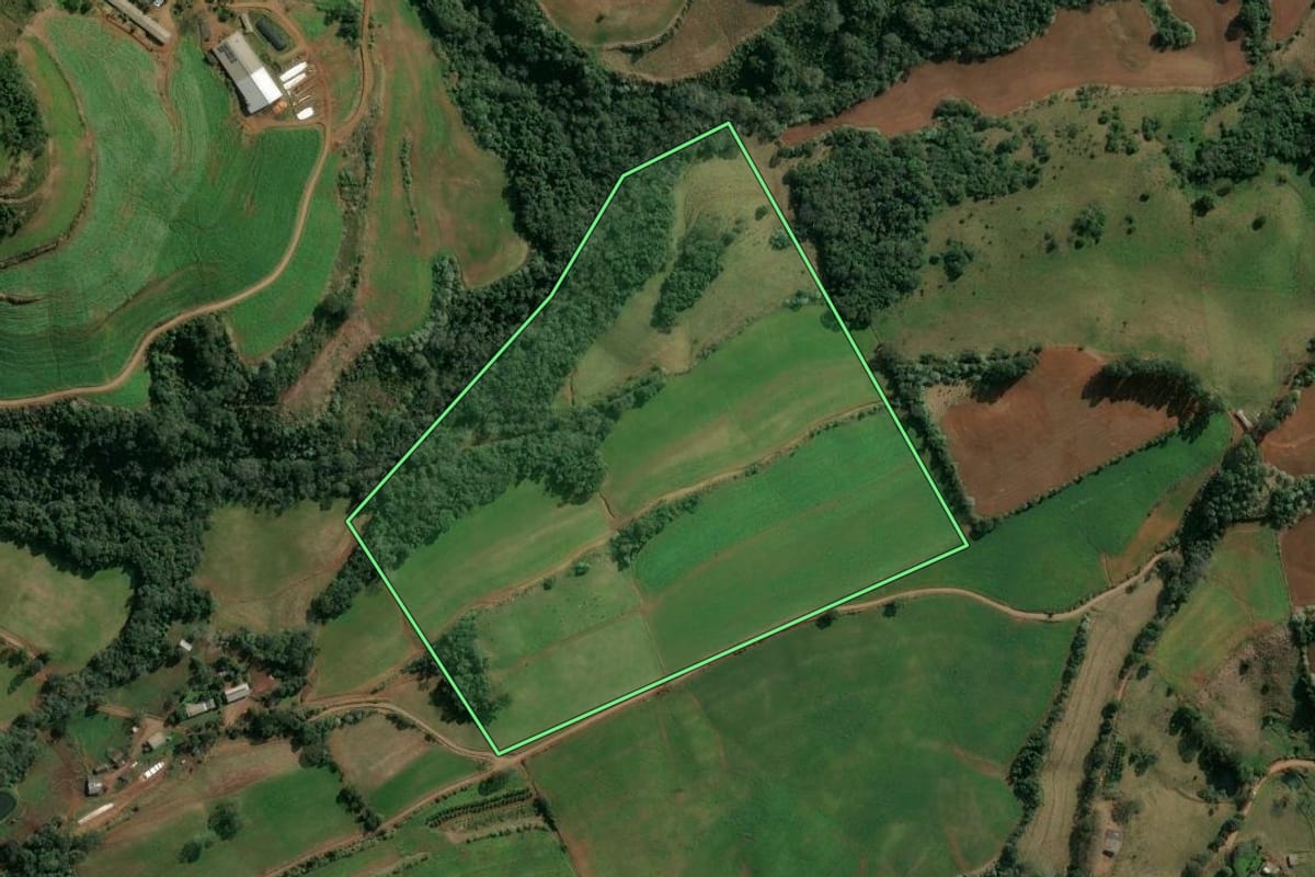 Imagem de satélite do imóvel rural em Barra do Rio Azul (RS), com o contorno declarado no CAR desenhado por cima.