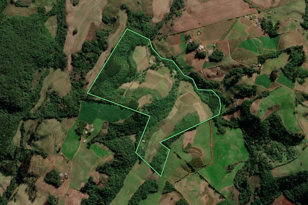 Imagem de satélite do imóvel rural em Barros Cassal (RS), com o contorno declarado no CAR desenhado por cima.