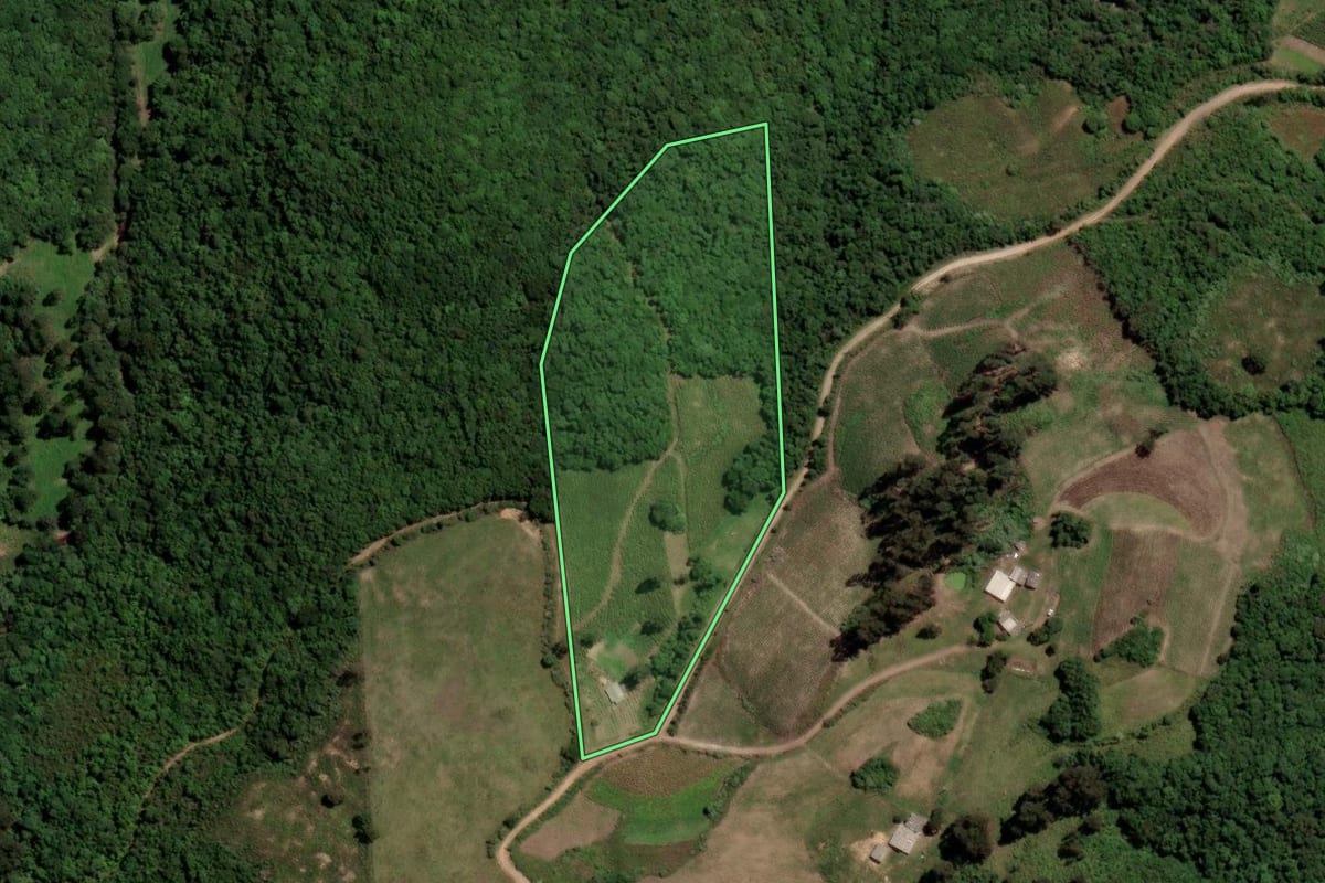 Imagem de satélite do imóvel rural em Barros Cassal (RS), com o contorno declarado no CAR desenhado por cima.