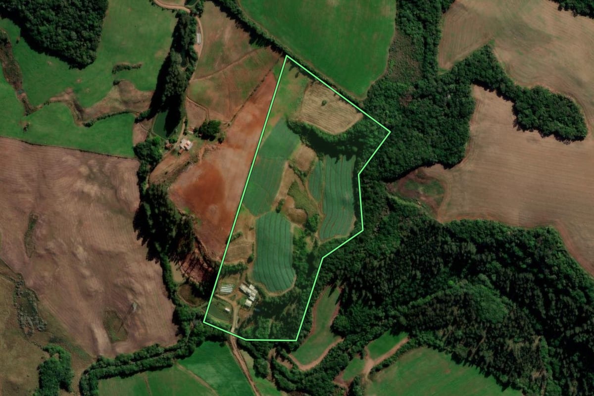 Imagem de satélite do imóvel rural em Barros Cassal (RS), com o contorno declarado no CAR desenhado por cima.