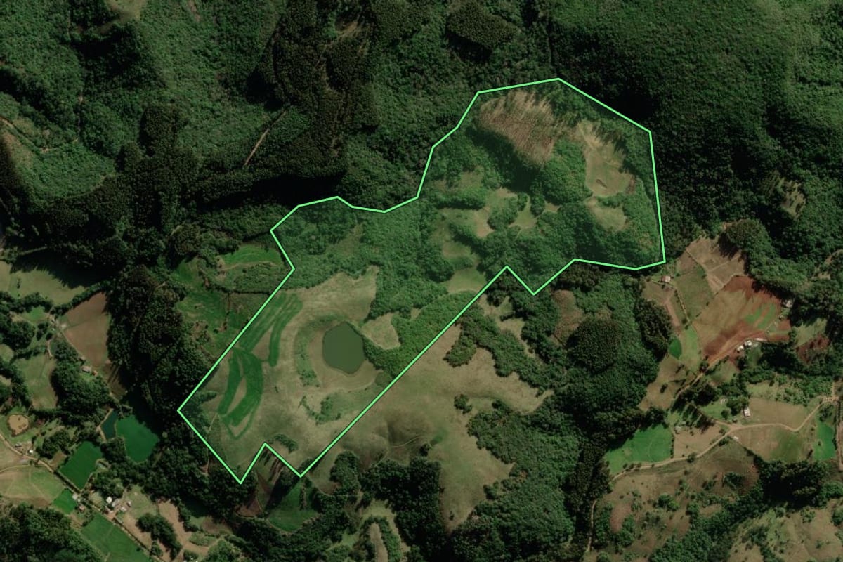 Imagem de satélite do imóvel rural em Barros Cassal (RS), com o contorno declarado no CAR desenhado por cima.