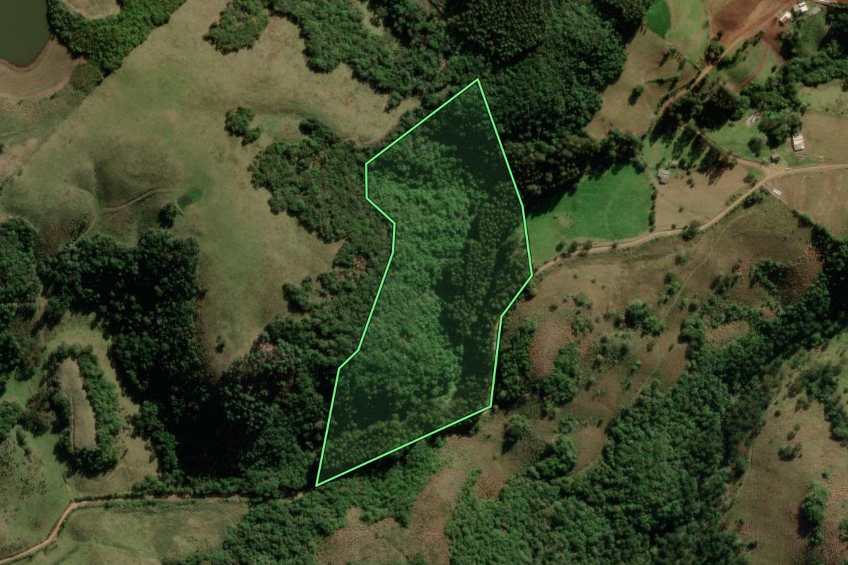 Imagem de satélite do imóvel rural em Barros Cassal (RS), com o contorno declarado no CAR desenhado por cima.