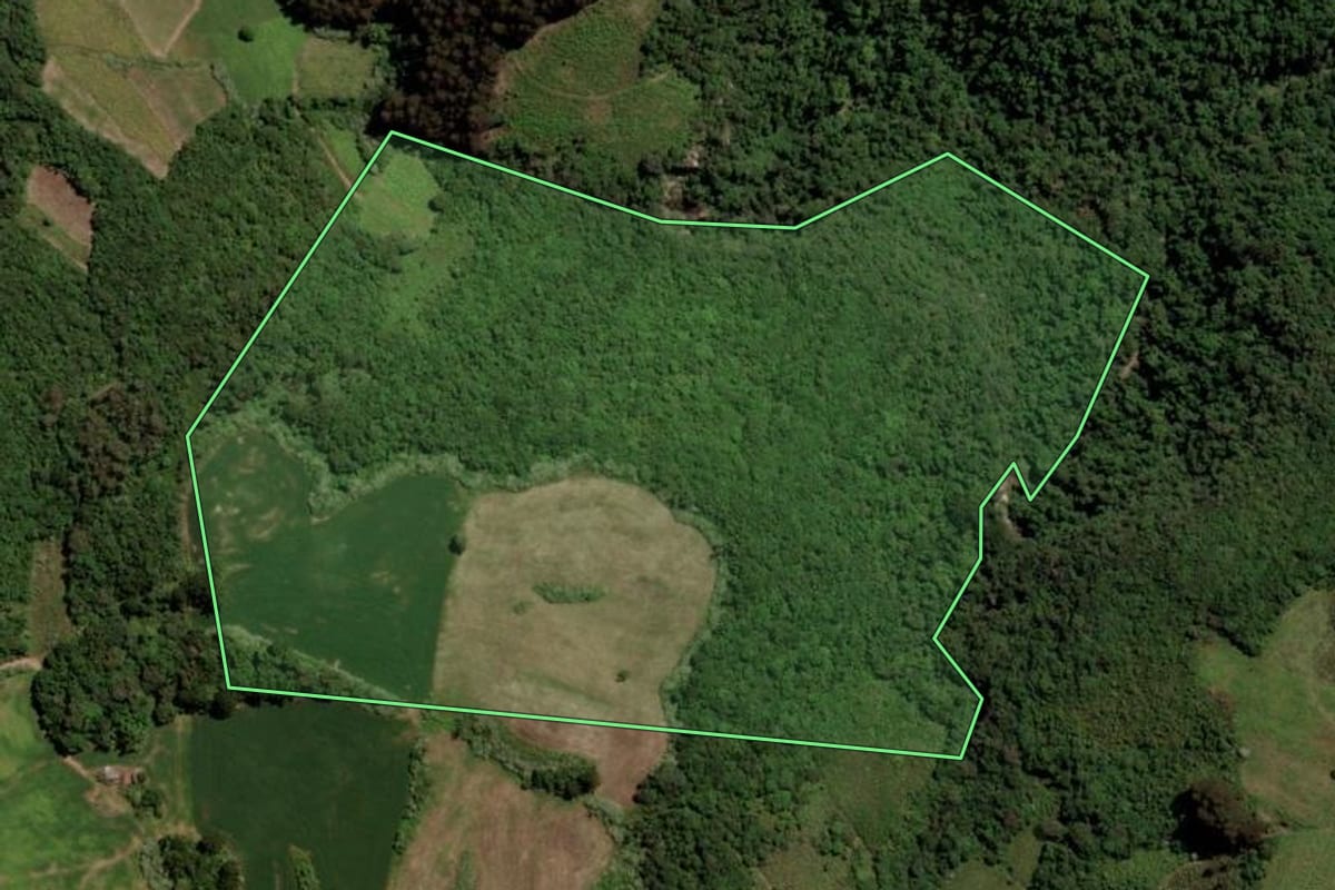 Imagem de satélite do imóvel rural em Barros Cassal (RS), com o contorno declarado no CAR desenhado por cima.