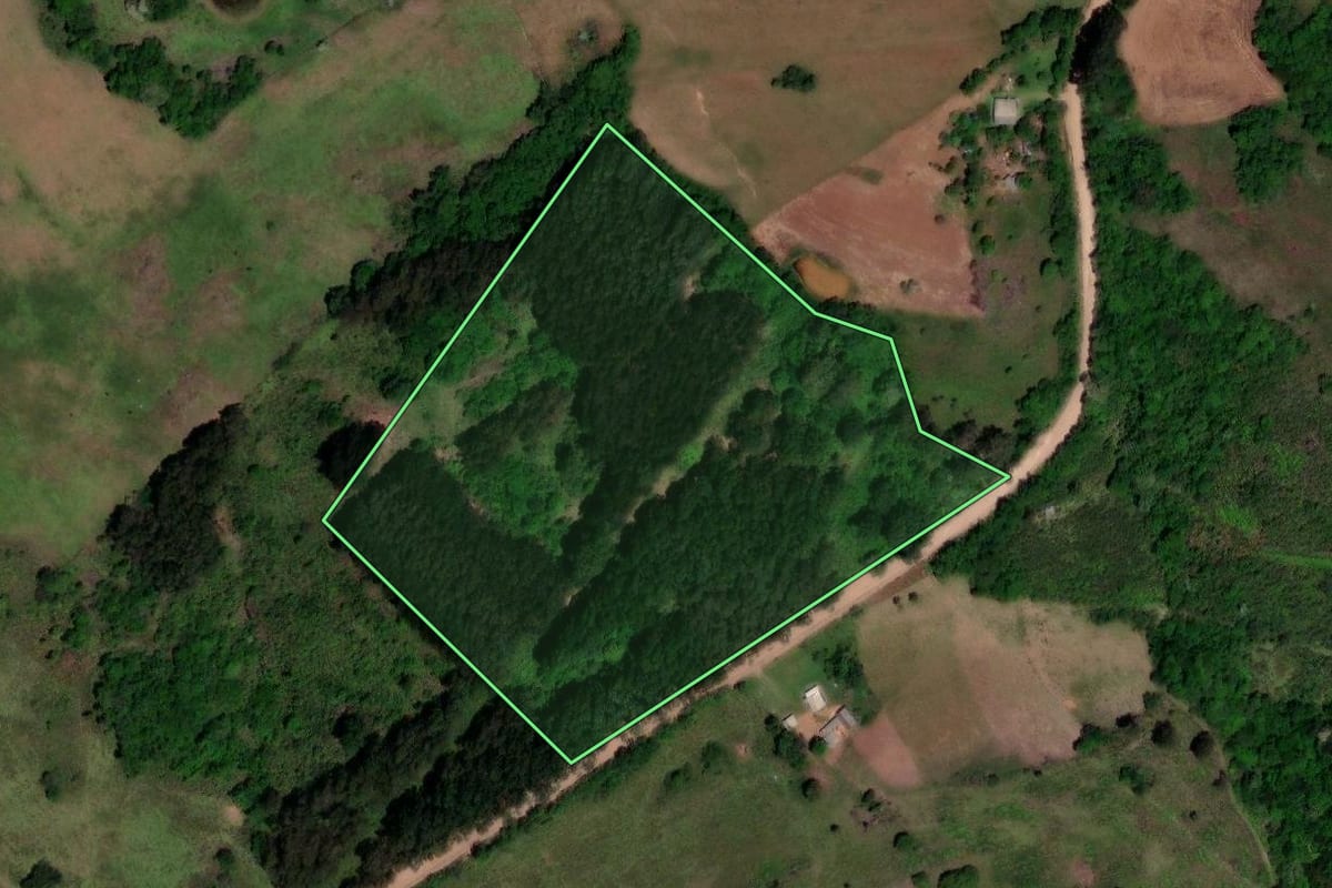 Imagem de satélite do imóvel rural em Barros Cassal (RS), com o contorno declarado no CAR desenhado por cima.