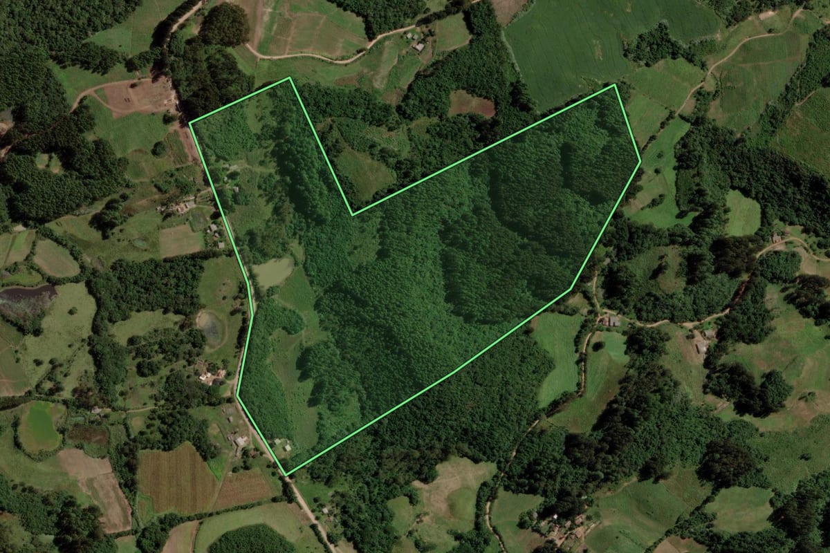 Imagem de satélite do imóvel rural em Barros Cassal (RS), com o contorno declarado no CAR desenhado por cima.