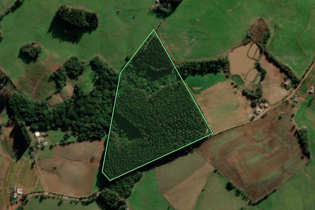 Imagem de satélite do imóvel rural em Barros Cassal (RS), com o contorno declarado no CAR desenhado por cima.