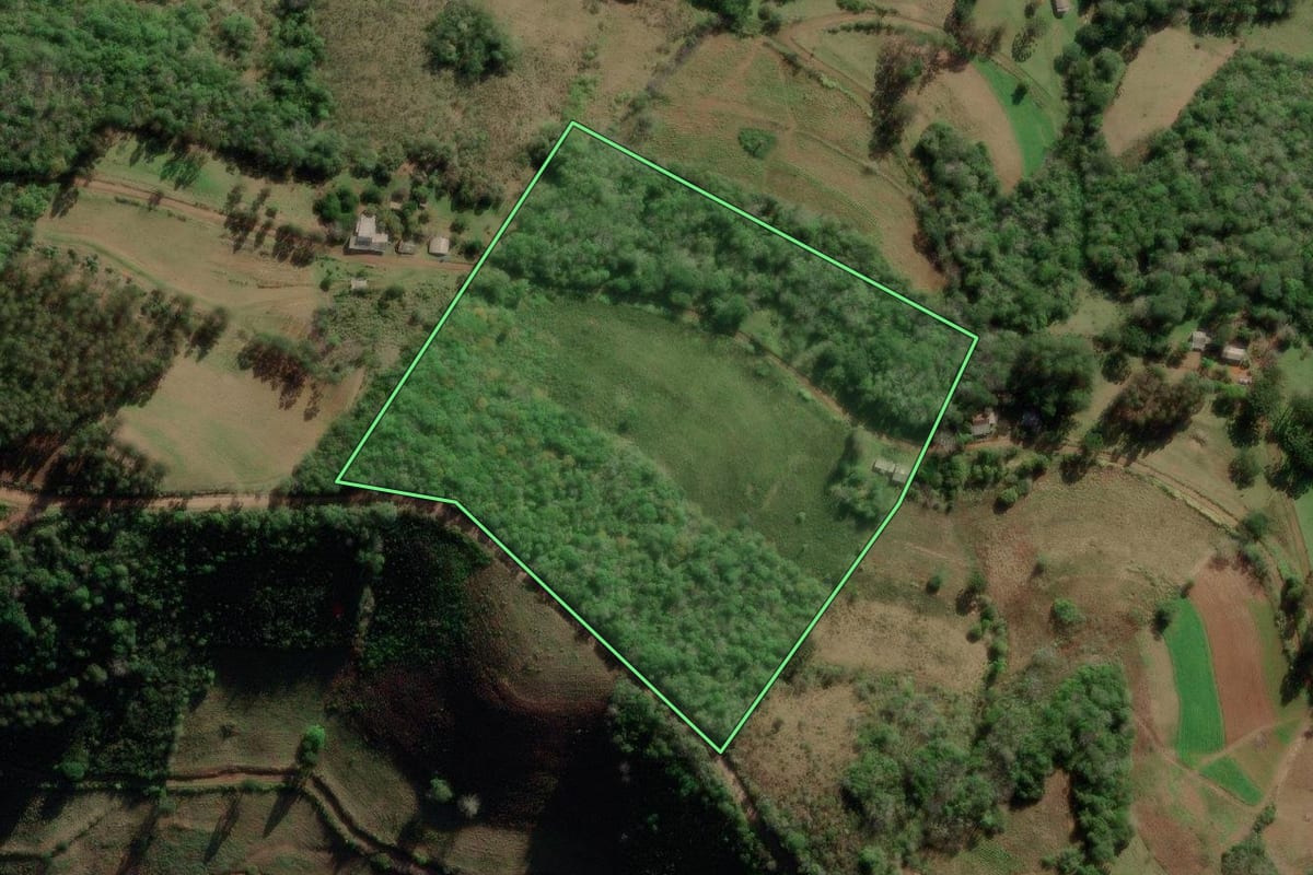 Imagem de satélite do imóvel rural em Barros Cassal (RS), com o contorno declarado no CAR desenhado por cima.