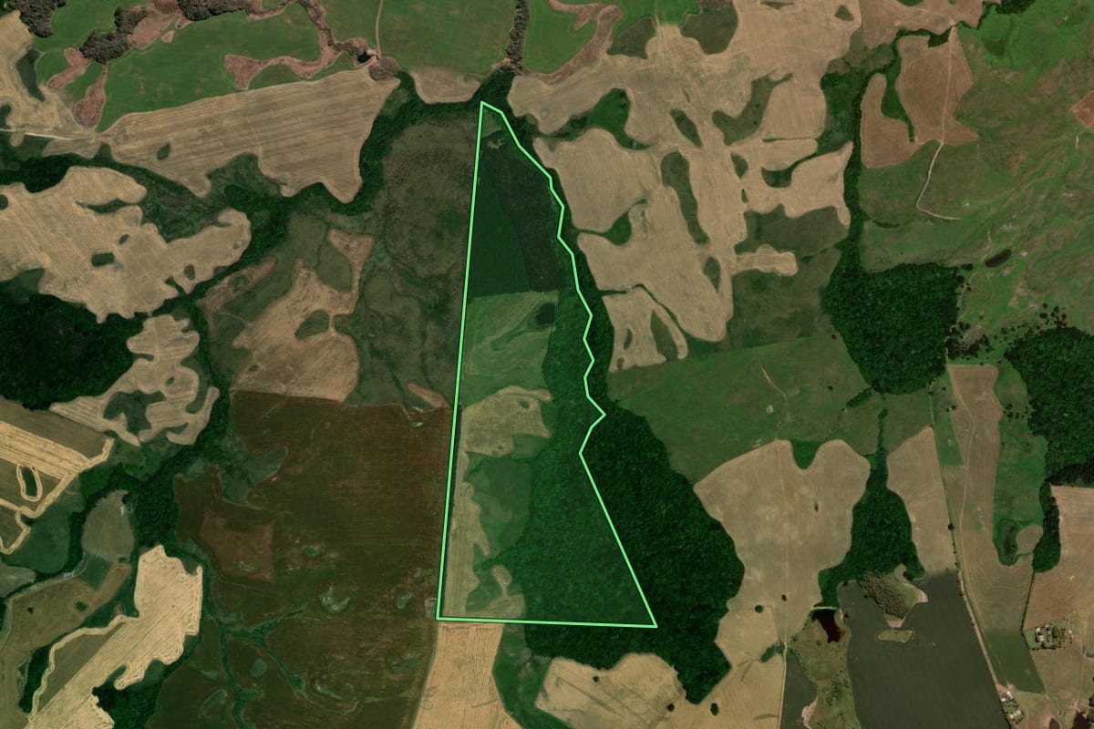 Imagem de satélite do imóvel rural em Barros Cassal (RS), com o contorno declarado no CAR desenhado por cima.