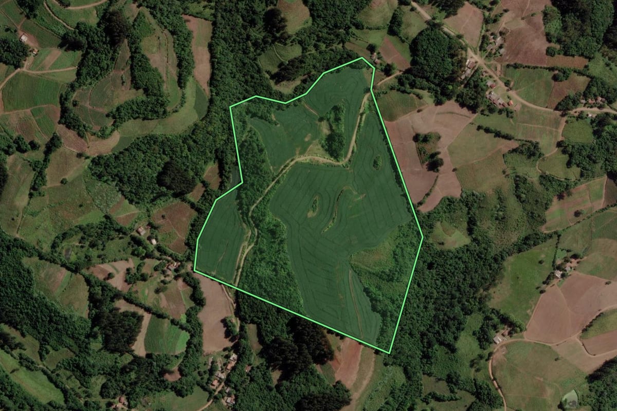 Imagem de satélite do imóvel rural em Barros Cassal (RS), com o contorno declarado no CAR desenhado por cima.