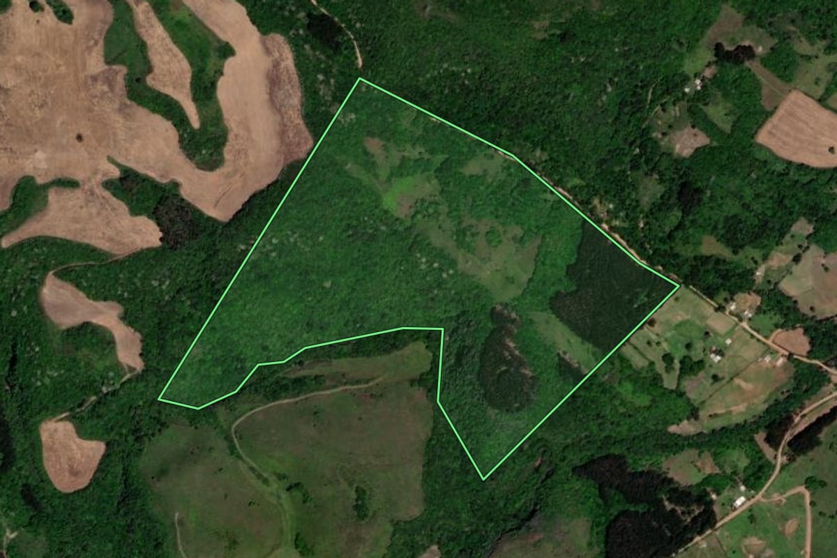 Imagem de satélite do imóvel rural em Barros Cassal (RS), com o contorno declarado no CAR desenhado por cima.
