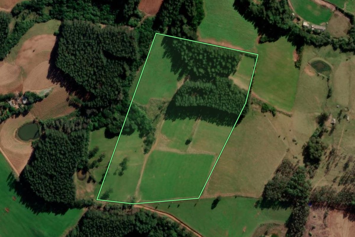 Imagem de satélite do imóvel rural em Barros Cassal (RS), com o contorno declarado no CAR desenhado por cima.