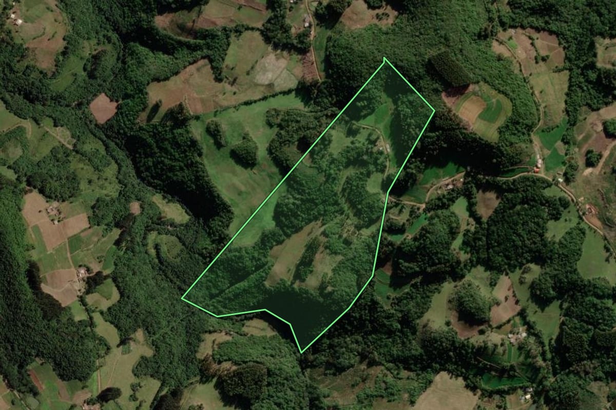 Imagem de satélite do imóvel rural em Barros Cassal (RS), com o contorno declarado no CAR desenhado por cima.