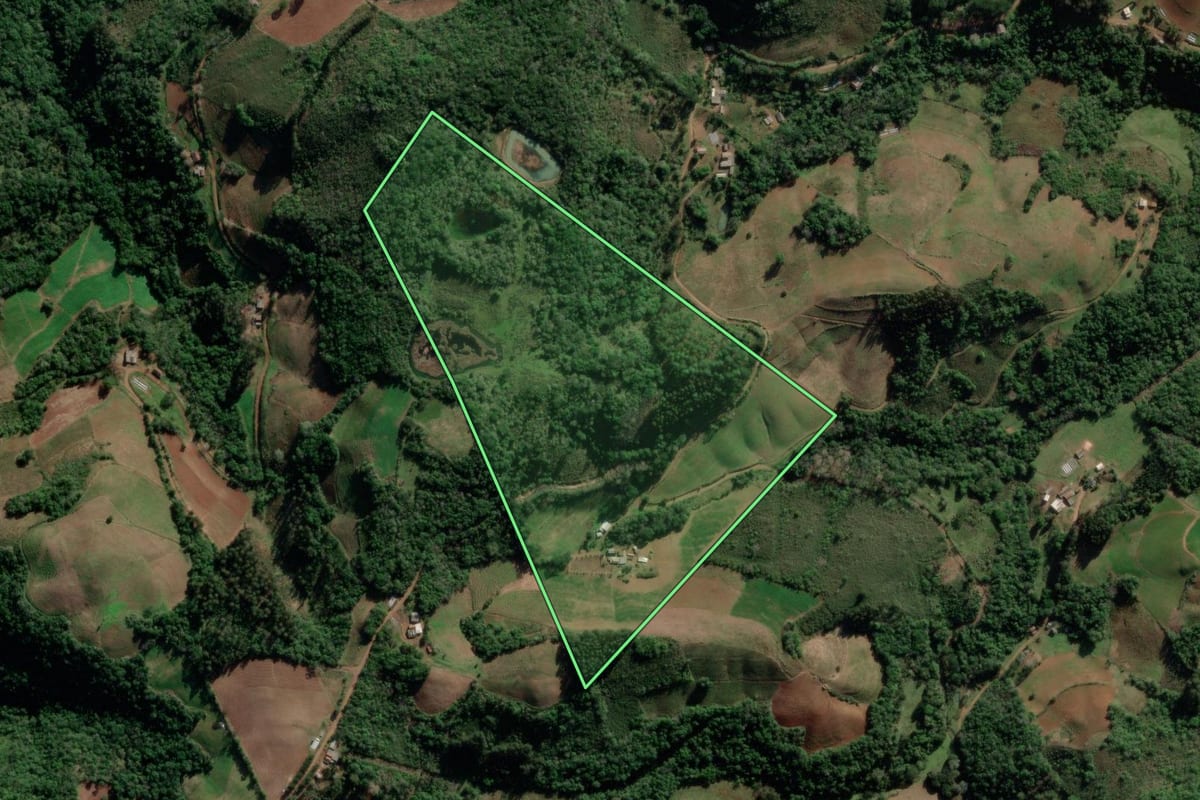 Imagem de satélite do imóvel rural em Barros Cassal (RS), com o contorno declarado no CAR desenhado por cima.