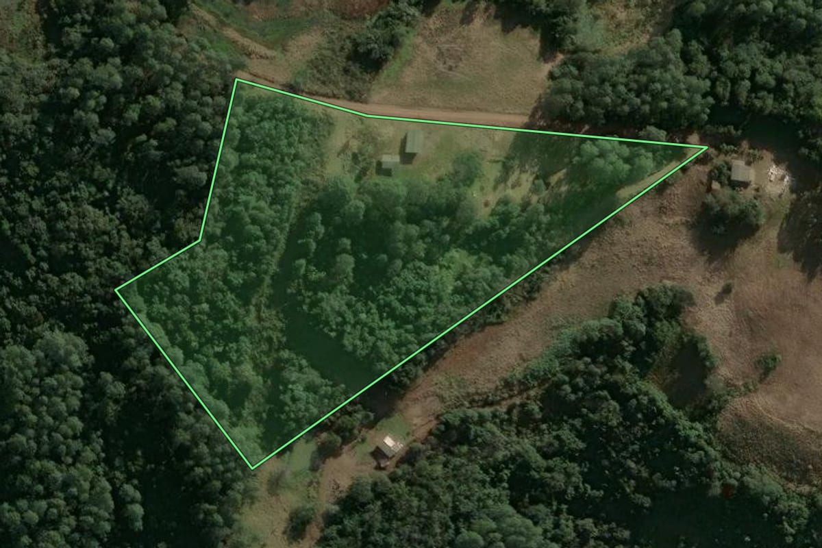 Imagem de satélite do imóvel rural em Benjamin Constant do Sul (RS), com o contorno declarado no CAR desenhado por cima.
