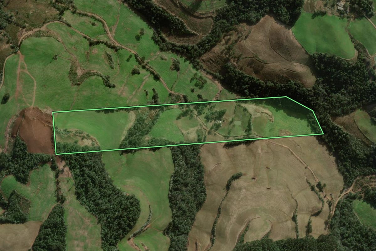 Imagem de satélite do imóvel rural em Benjamin Constant do Sul (RS), com o contorno declarado no CAR desenhado por cima.