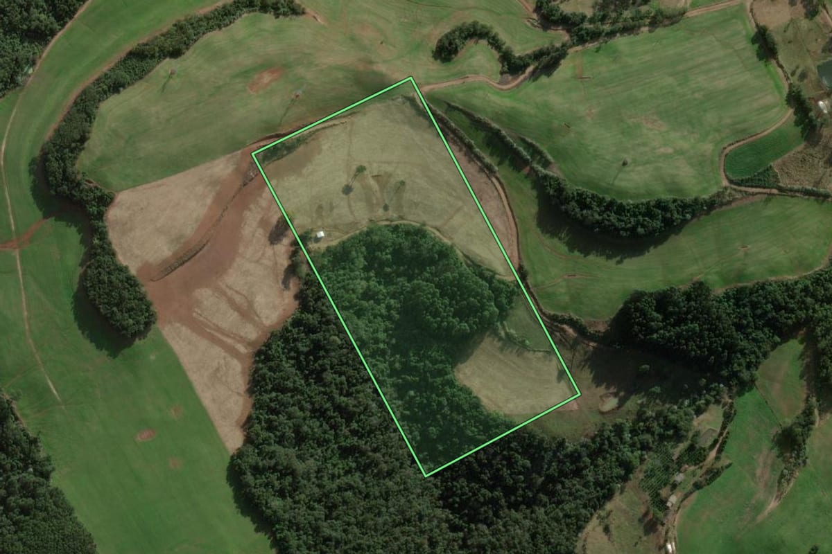 Imagem de satélite do imóvel rural em Benjamin Constant do Sul (RS), com o contorno declarado no CAR desenhado por cima.
