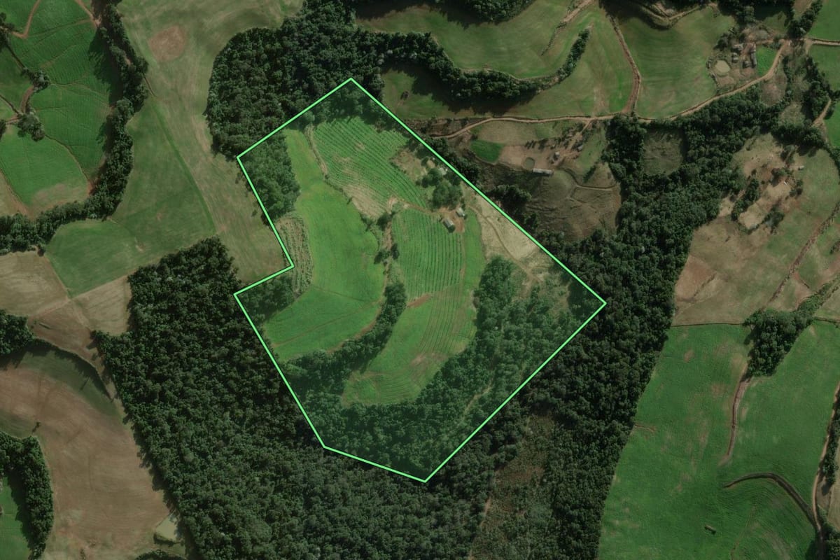 Imagem de satélite do imóvel rural em Benjamin Constant do Sul (RS), com o contorno declarado no CAR desenhado por cima.