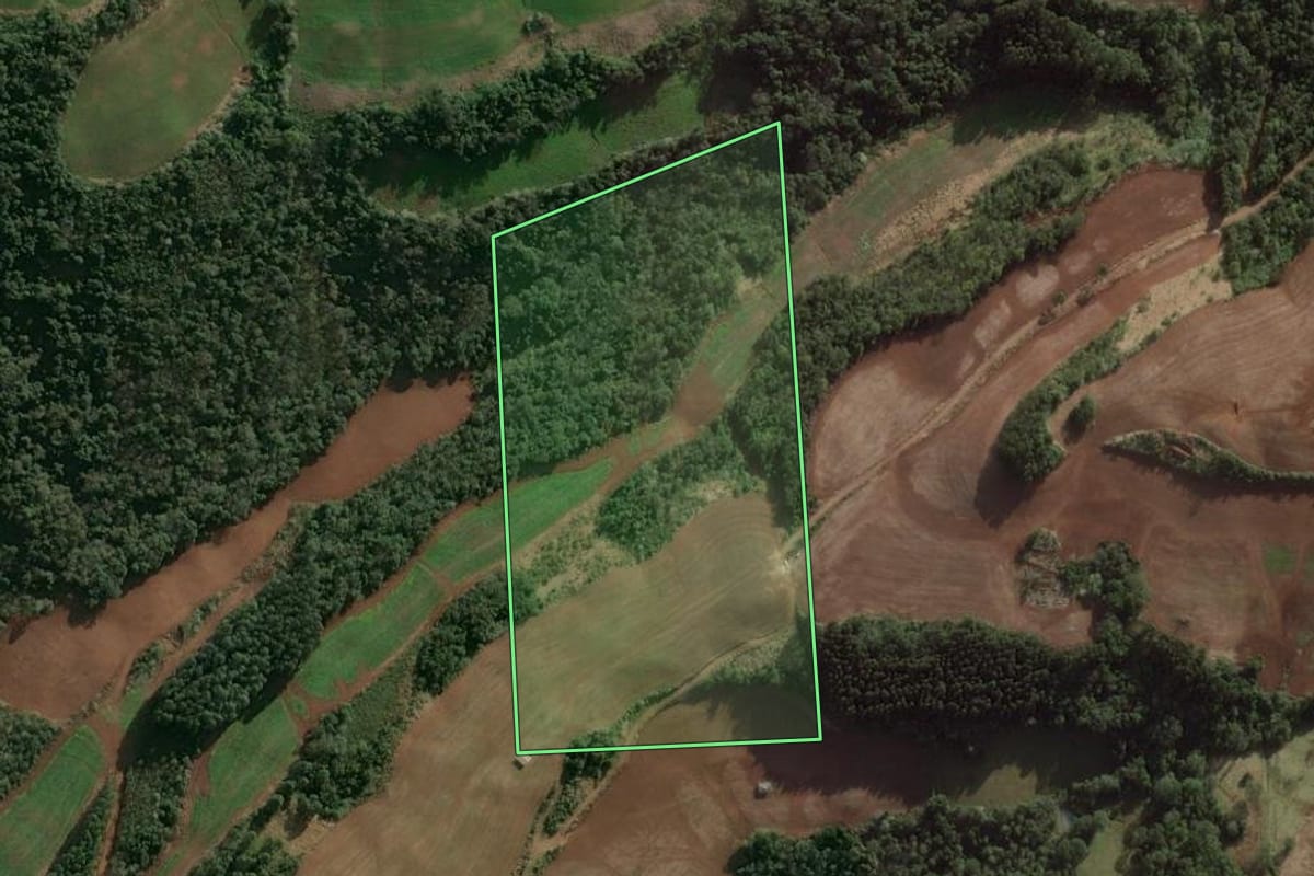 Imagem de satélite do imóvel rural em Benjamin Constant do Sul (RS), com o contorno declarado no CAR desenhado por cima.