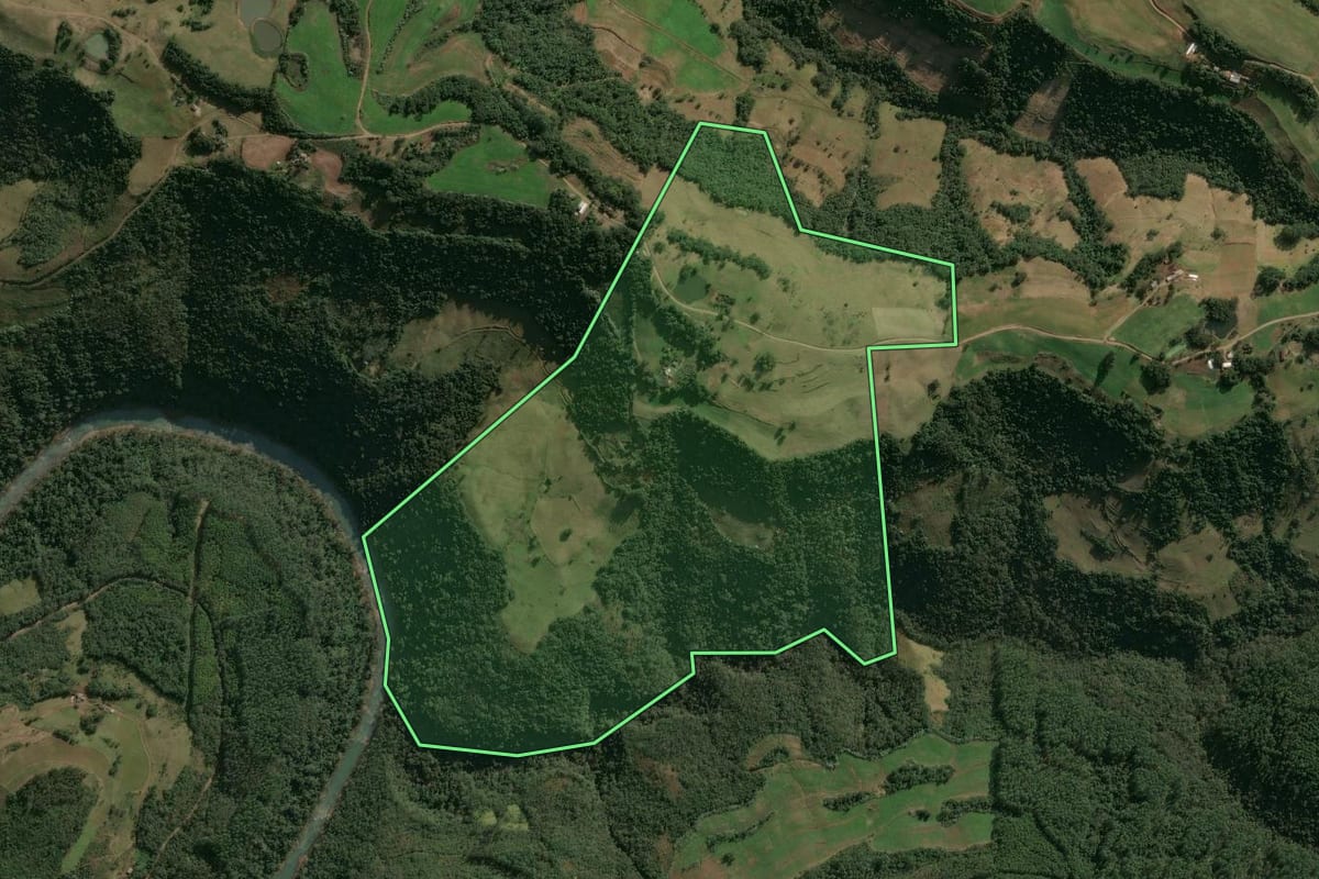 Imagem de satélite do imóvel rural em Benjamin Constant do Sul (RS), com o contorno declarado no CAR desenhado por cima.