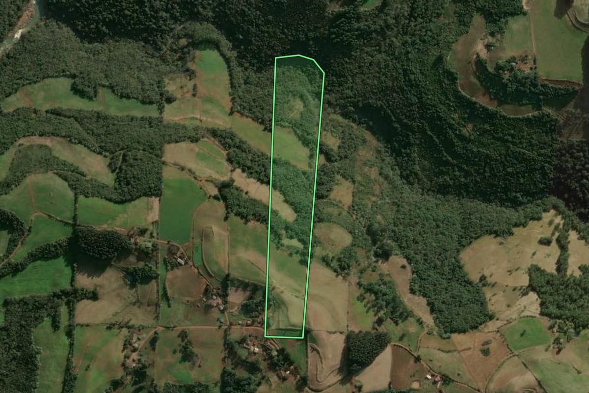 Imagem de satélite do imóvel rural em Benjamin Constant do Sul (RS), com o contorno declarado no CAR desenhado por cima.