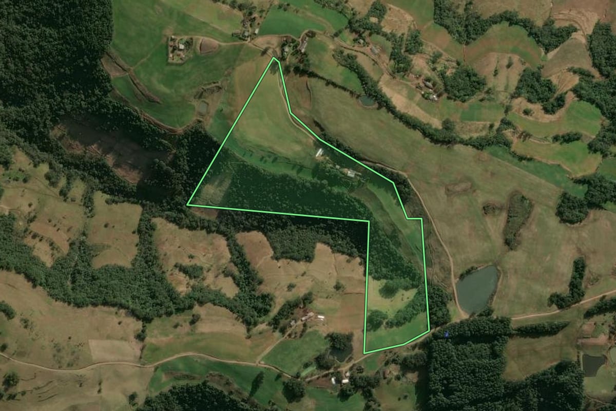 Imagem de satélite do imóvel rural em Benjamin Constant do Sul (RS), com o contorno declarado no CAR desenhado por cima.