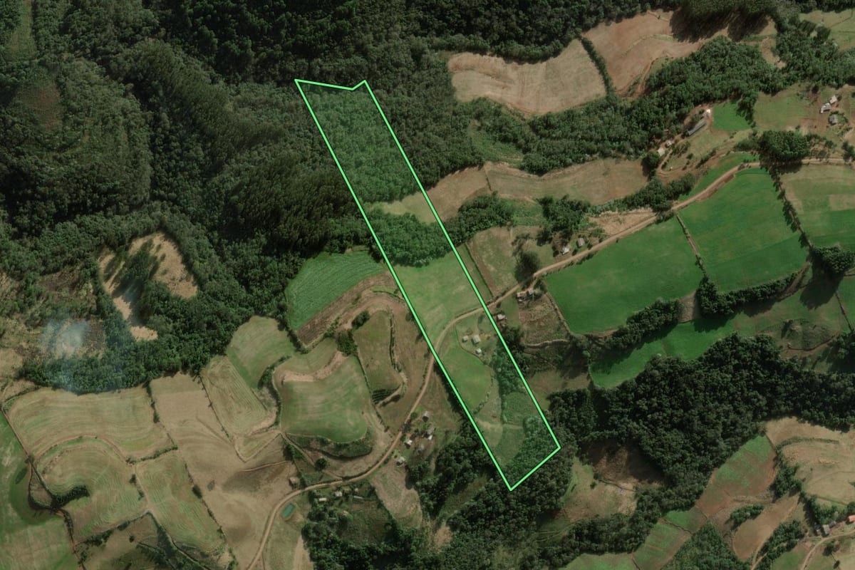Imagem de satélite do imóvel rural em Benjamin Constant do Sul (RS), com o contorno declarado no CAR desenhado por cima.