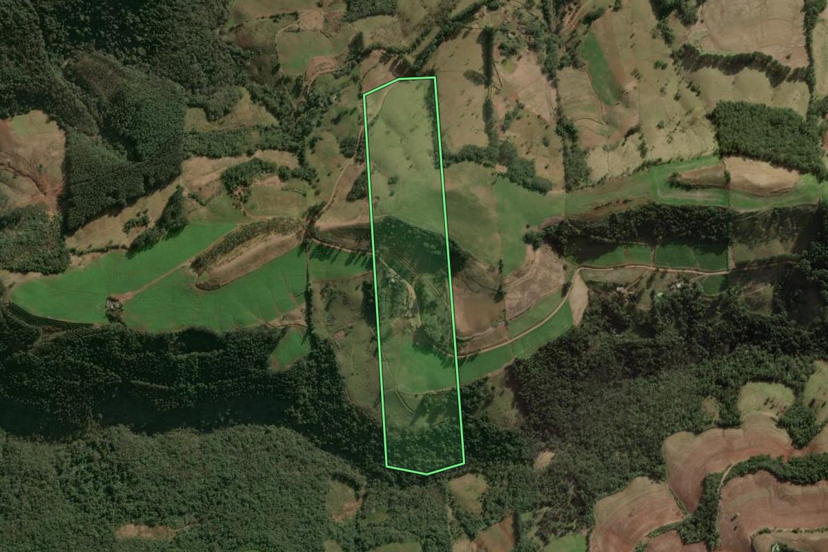 Imagem de satélite do imóvel rural em Benjamin Constant do Sul (RS), com o contorno declarado no CAR desenhado por cima.