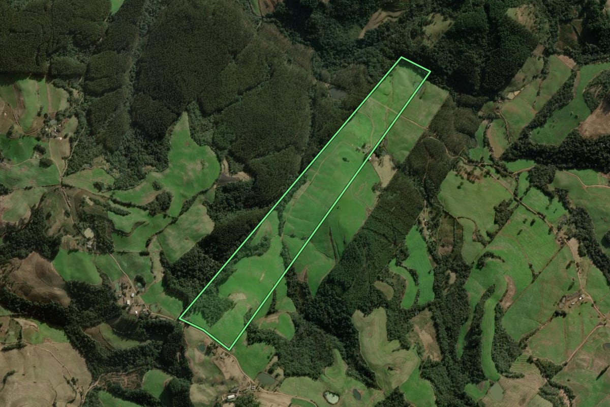 Imagem de satélite do imóvel rural em Benjamin Constant do Sul (RS), com o contorno declarado no CAR desenhado por cima.
