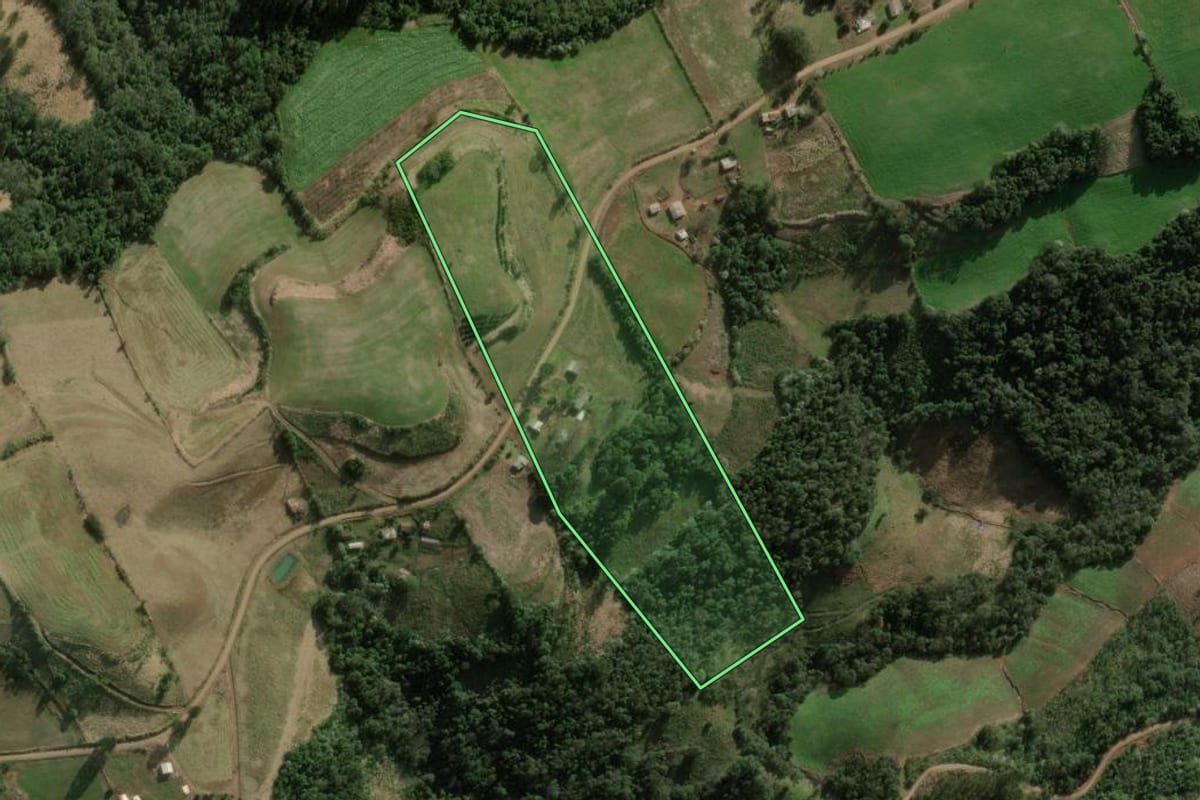 Imagem de satélite do imóvel rural em Benjamin Constant do Sul (RS), com o contorno declarado no CAR desenhado por cima.