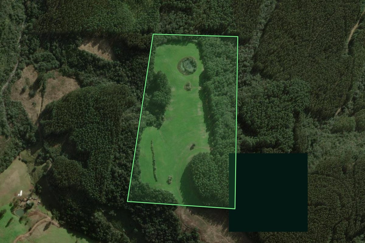 Imagem de satélite do imóvel rural em Benjamin Constant do Sul (RS), com o contorno declarado no CAR desenhado por cima.