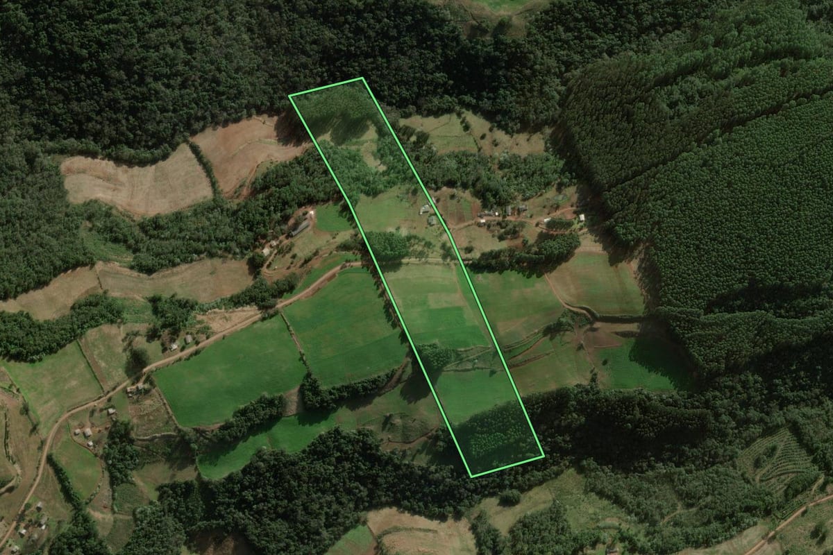 Imagem de satélite do imóvel rural em Benjamin Constant do Sul (RS), com o contorno declarado no CAR desenhado por cima.