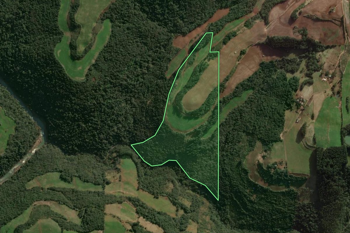 Imagem de satélite do imóvel rural em Benjamin Constant do Sul (RS), com o contorno declarado no CAR desenhado por cima.