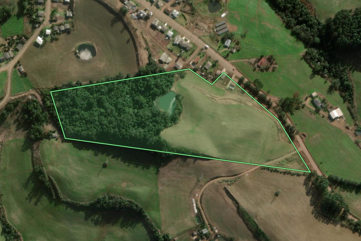 Imagem de satélite do imóvel rural em Benjamin Constant do Sul (RS), com o contorno declarado no CAR desenhado por cima.