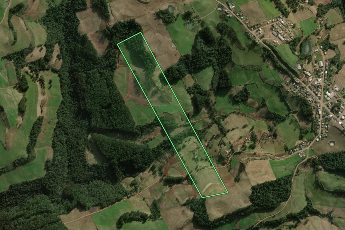 Imagem de satélite do imóvel rural em Benjamin Constant do Sul (RS), com o contorno declarado no CAR desenhado por cima.