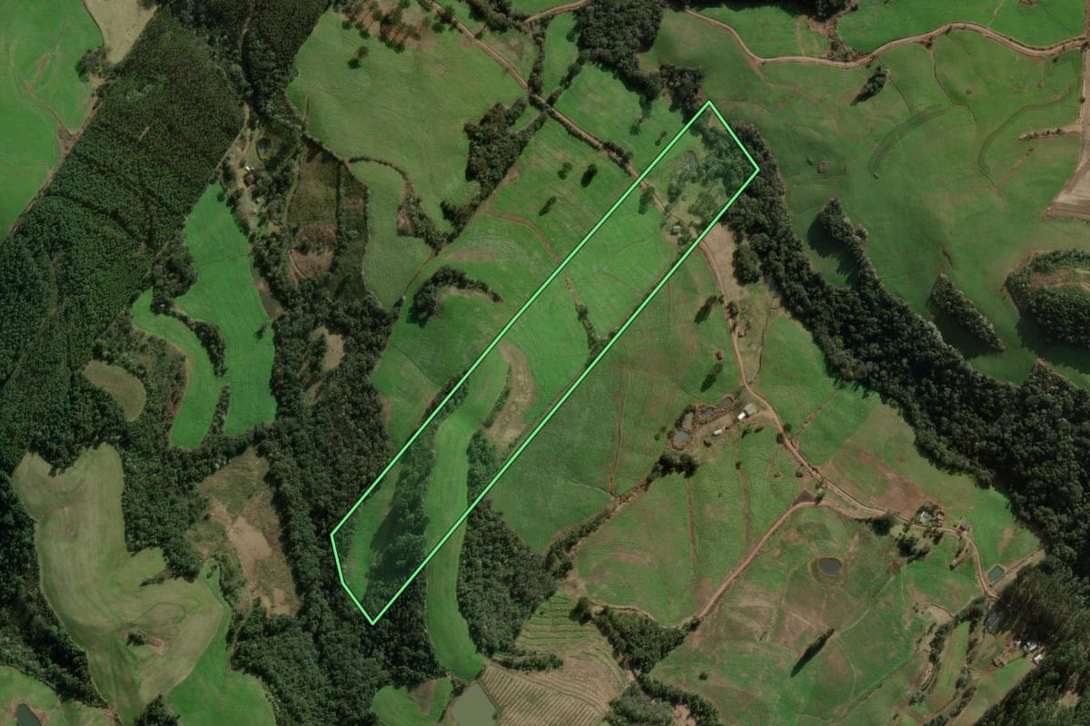 Imagem de satélite do imóvel rural em Benjamin Constant do Sul (RS), com o contorno declarado no CAR desenhado por cima.