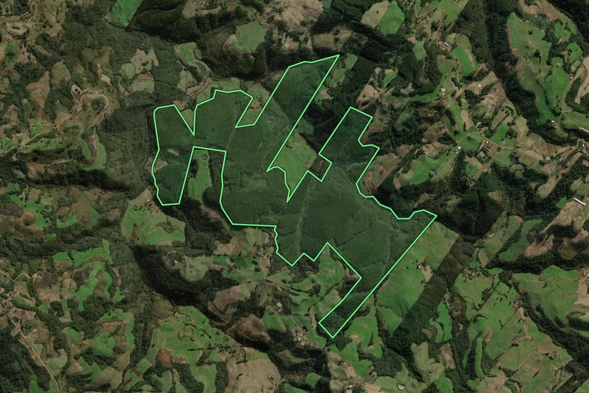 Imagem de satélite do imóvel rural em Benjamin Constant do Sul (RS), com o contorno declarado no CAR desenhado por cima.